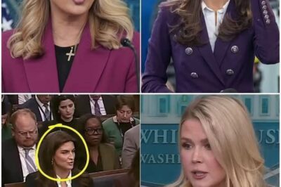 Karoline Leavitt BANS CNN’s Kaitlan Collins from Press Brief after STUPID Question